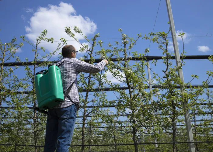 Adjuvants pour pesticides