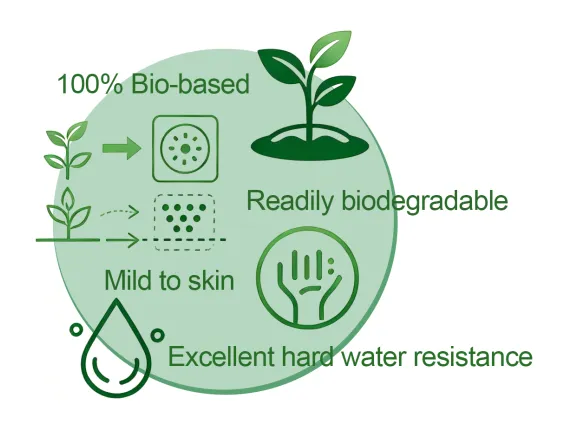 Alkyl polyglucoside (APG) — Un tensioactif vert, moteur d'innovation dans tous les secteurs d'activité